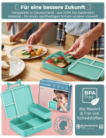 Liv - Türkis Schildkröte