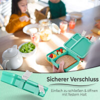 "JIN" - Türkis - Schildkröte